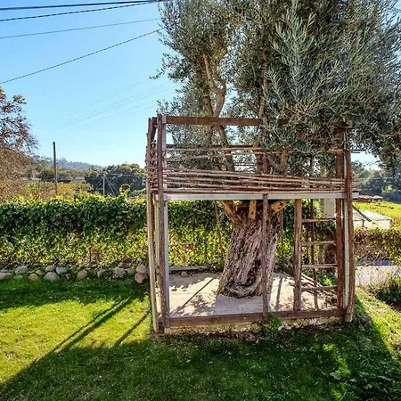 Charming House In With Shared Pool Monchique